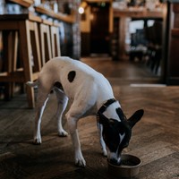 Ferry House Com May24 32