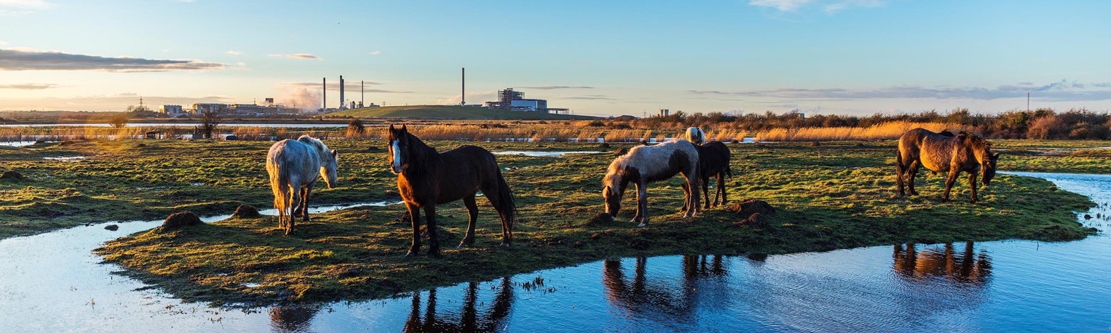 Visit Sittingbourne Homepage Banner