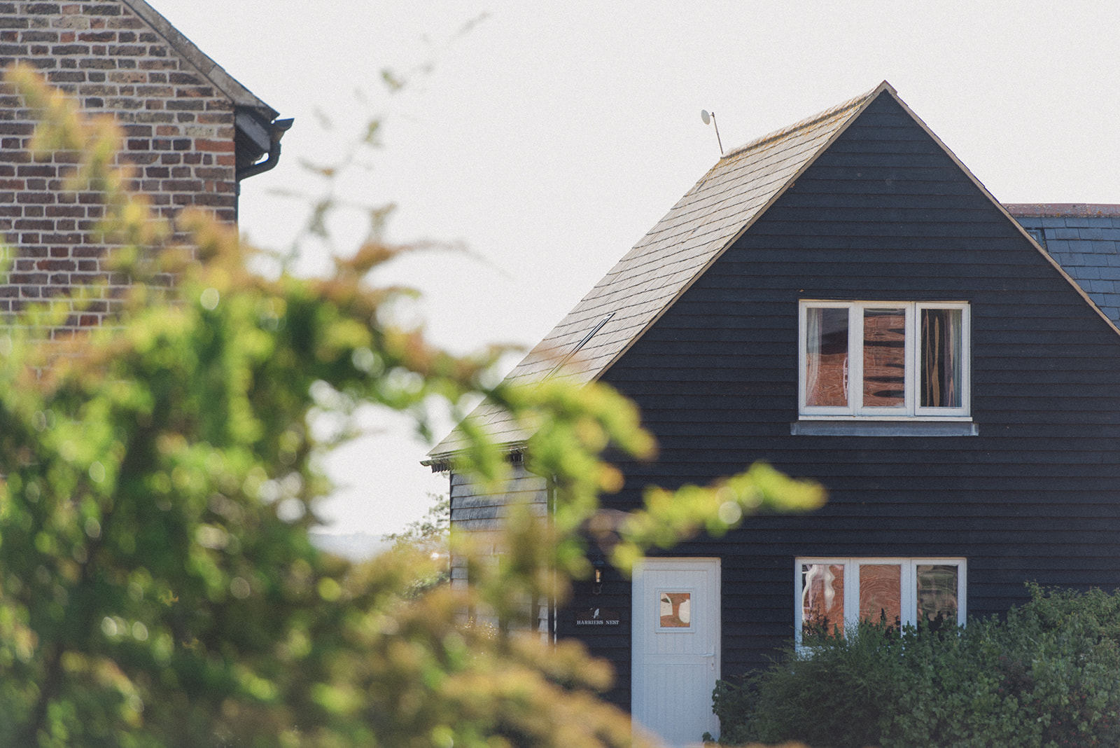 Harrier's Nest Cover Image