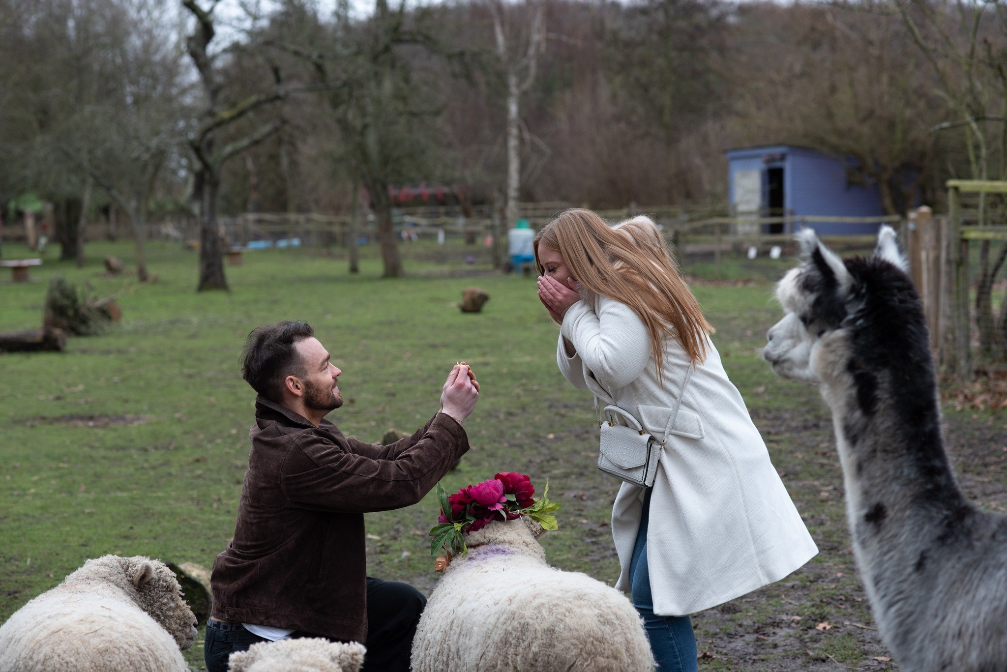 421937146 771348391697781 8976615712473674852 N