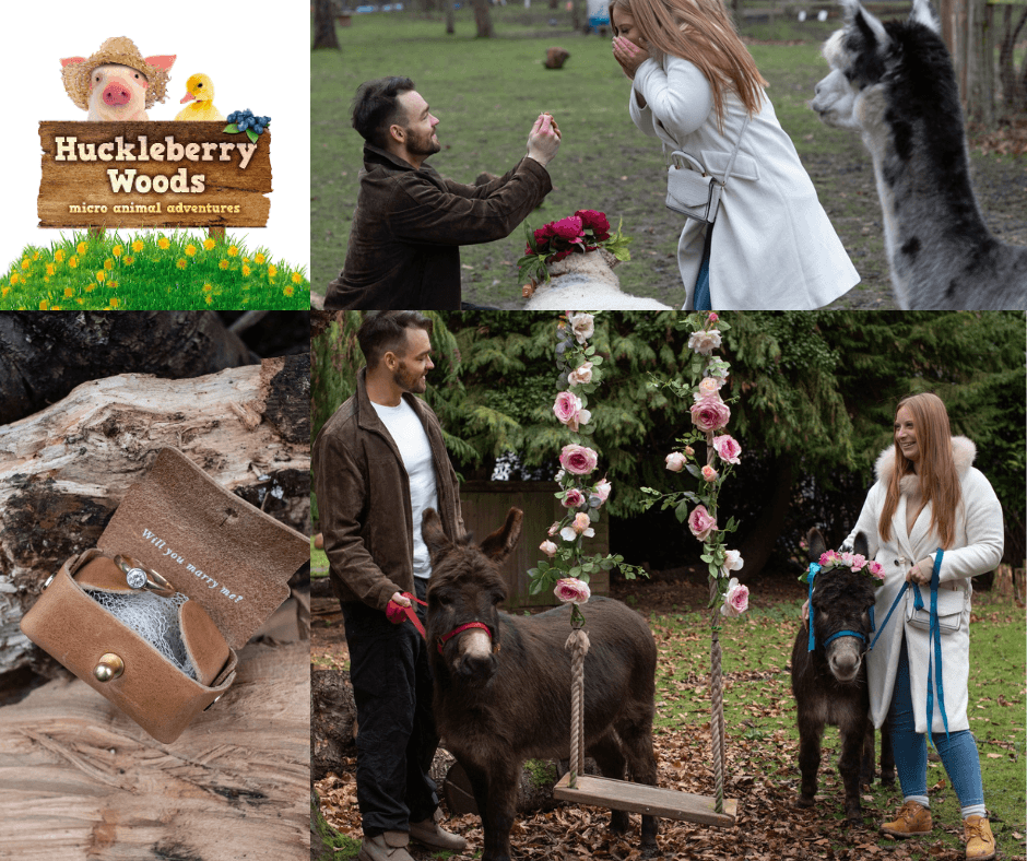 Untitled Design (64)