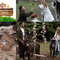 Untitled Design (64)