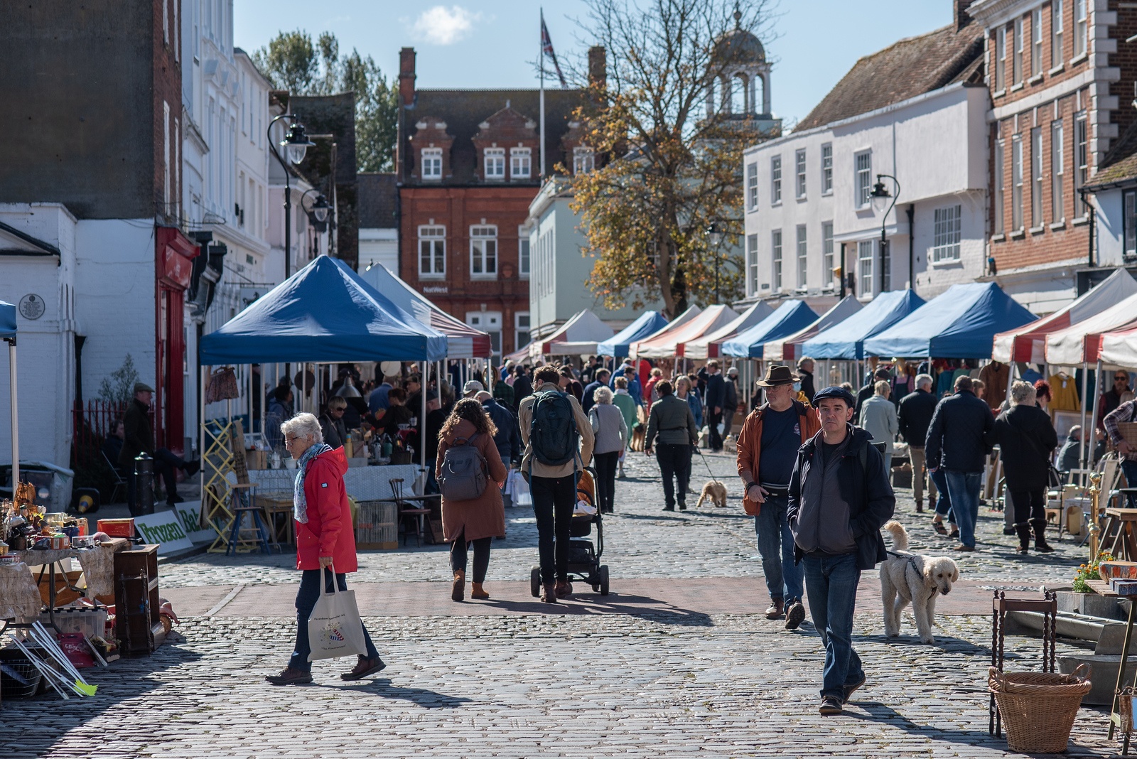 339096197 183886561119508 6349144138816947416 N