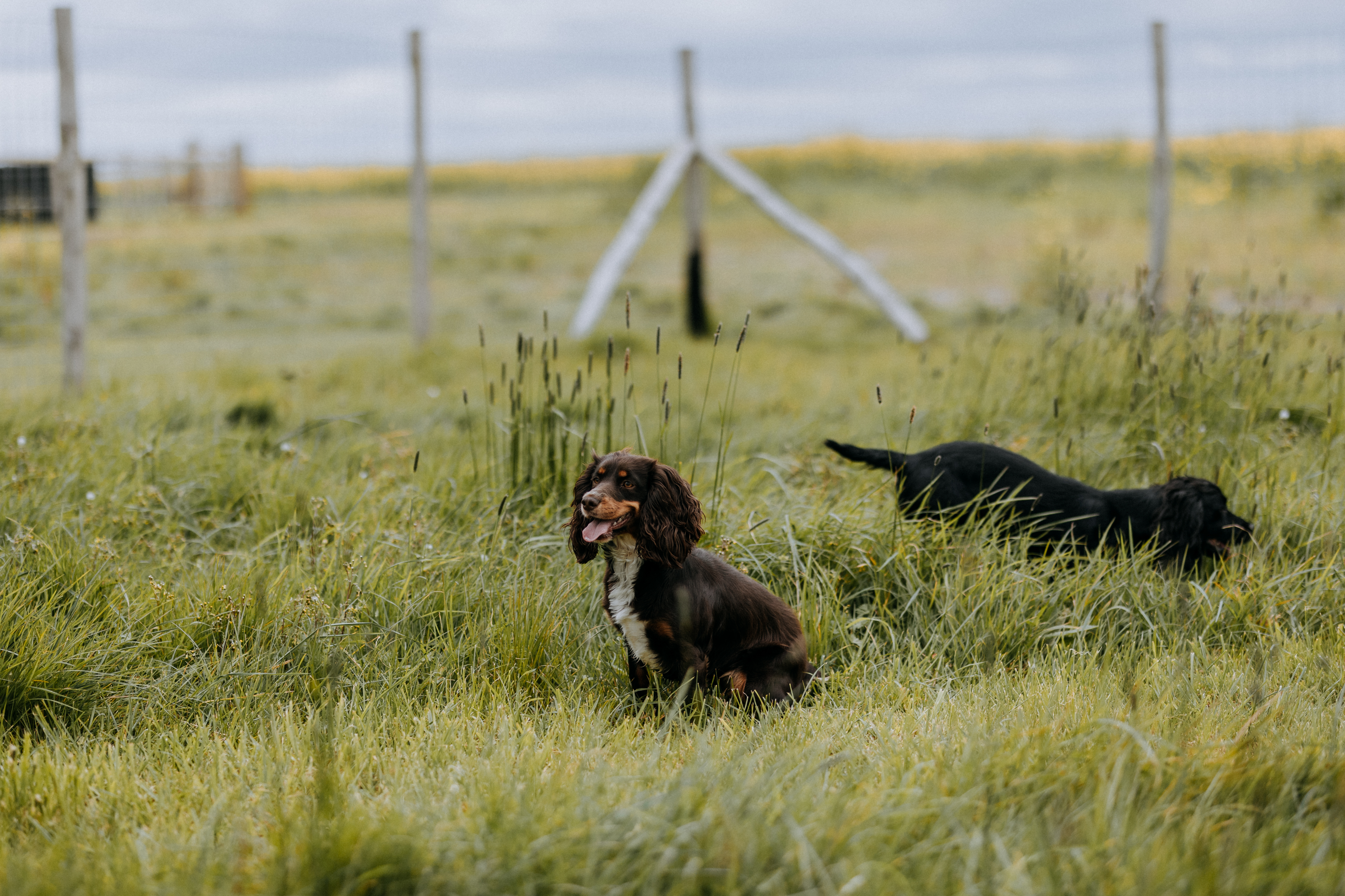 Ferry House April Comm 63