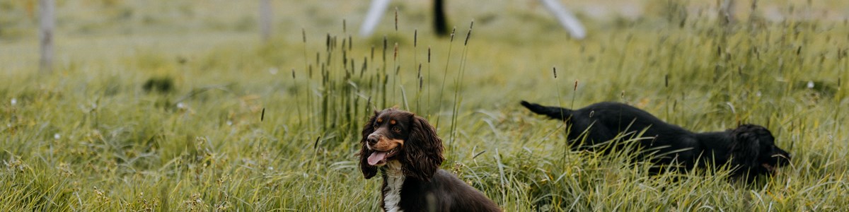 Ferry House April Comm 63