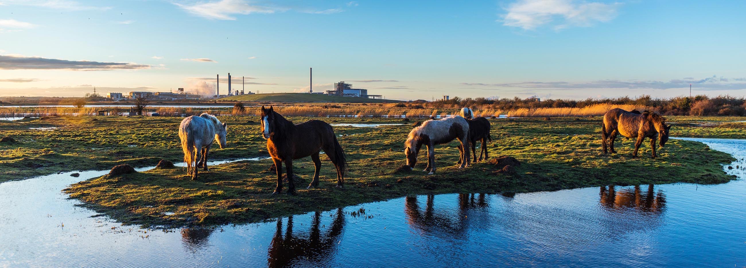 Visit Sittingbourne Homepage Banner