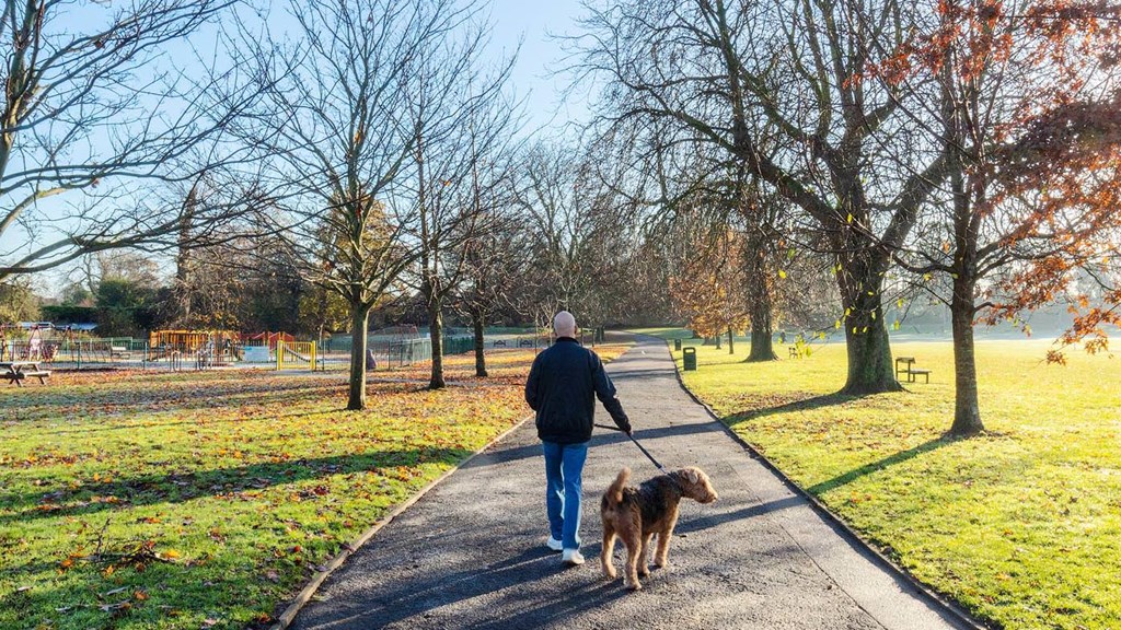 Visit Sittingbourne Homepage Tile