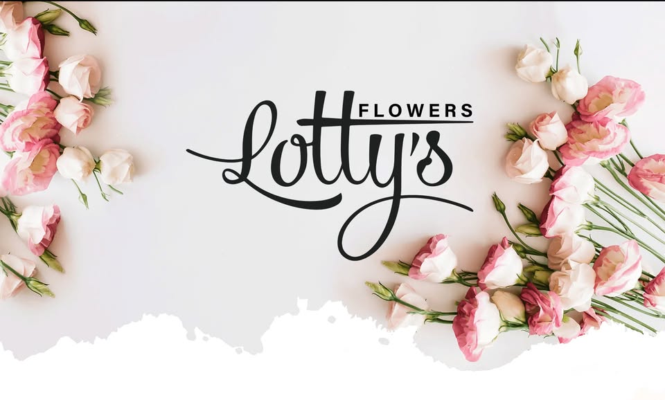 437550646 891017003035667 4183514385844987628 N