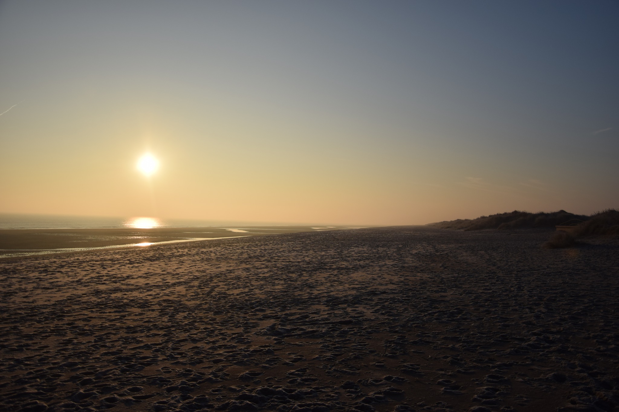 469558803 1008154851356475 8423317599663296725 N