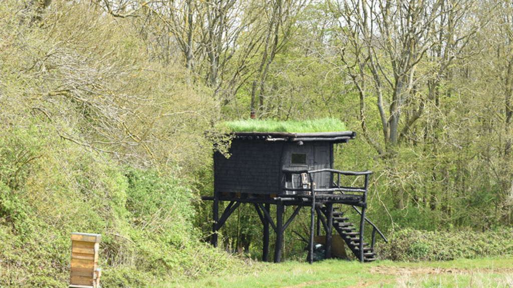 Tree House Lio 800X600