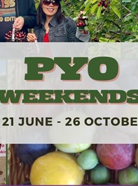 33ffe2ee-5efe-4d42-a664-846884107859-PYO weekends website 2.jpg