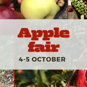 9c13ab6e-b380-42d4-b0b8-21f0d1d585b6-Apple Fair website.jpg