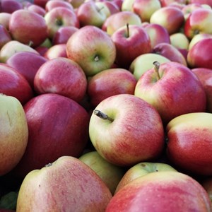 6b300b32-78ce-4c66-b012-65751c711980-apples.jpg
