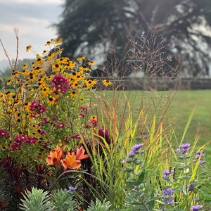 f478e3d2-ee74-4e65-b468-ab7a806232d4-Plant fairs roadshow pic.jpg