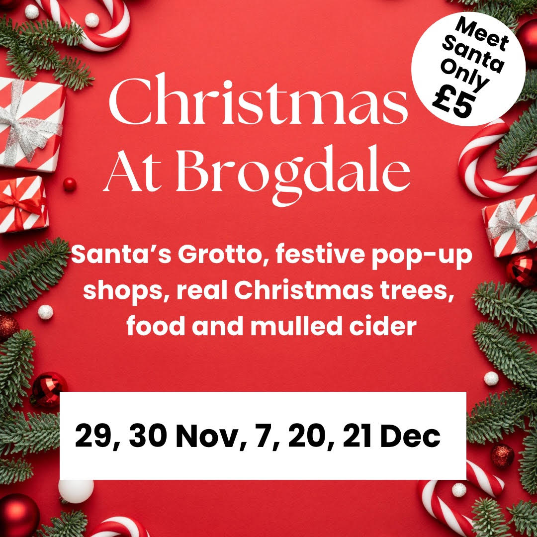 577794455 850301450857160 968927464782360177 N