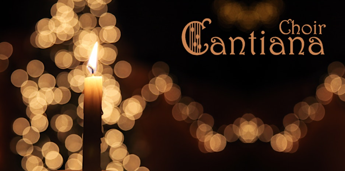 Screenshot 2025 11 20 073611