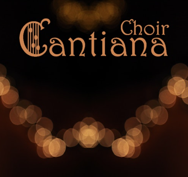 Screenshot 2025 11 20 073638