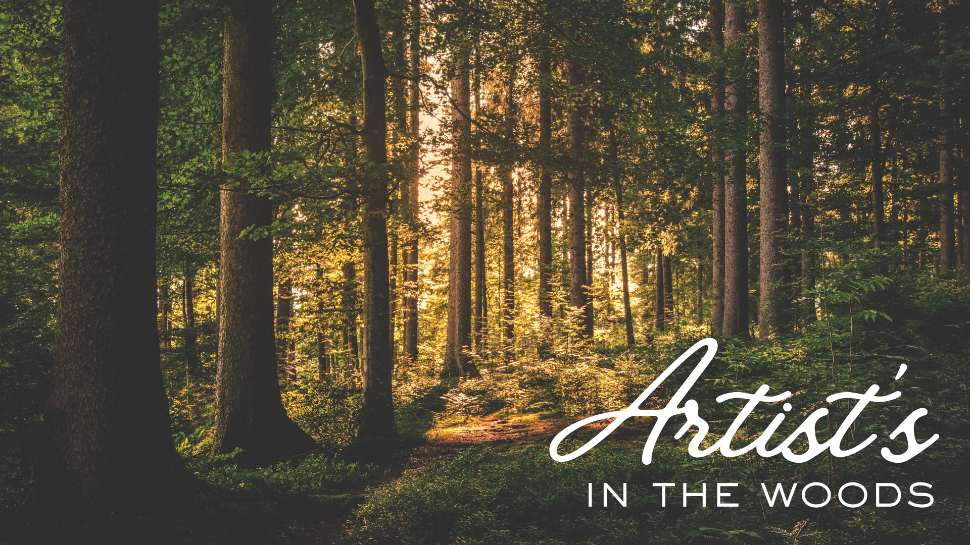 613191180 1310295624461170 7809387963393454871 N