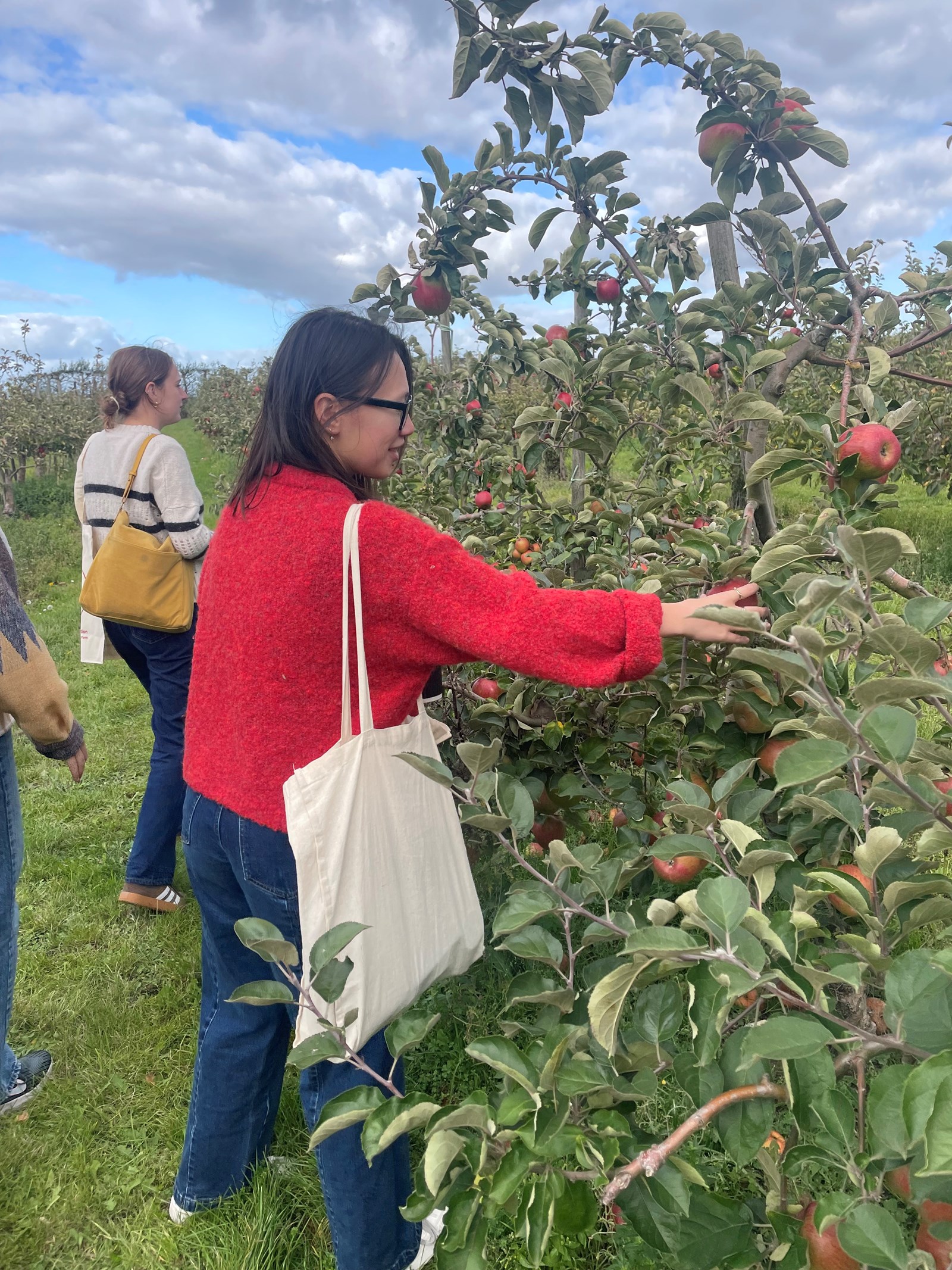 ab2458bd-7742-44d6-be37-a658de8066be-IMG_8418 low res.jpg