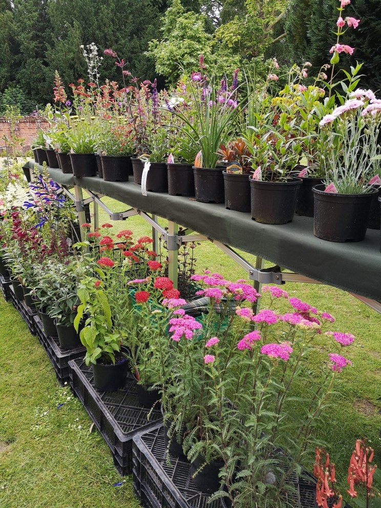 639868e7-2631-4f0a-a267-4799a1d37a66-Spring Fair Plants.jpg