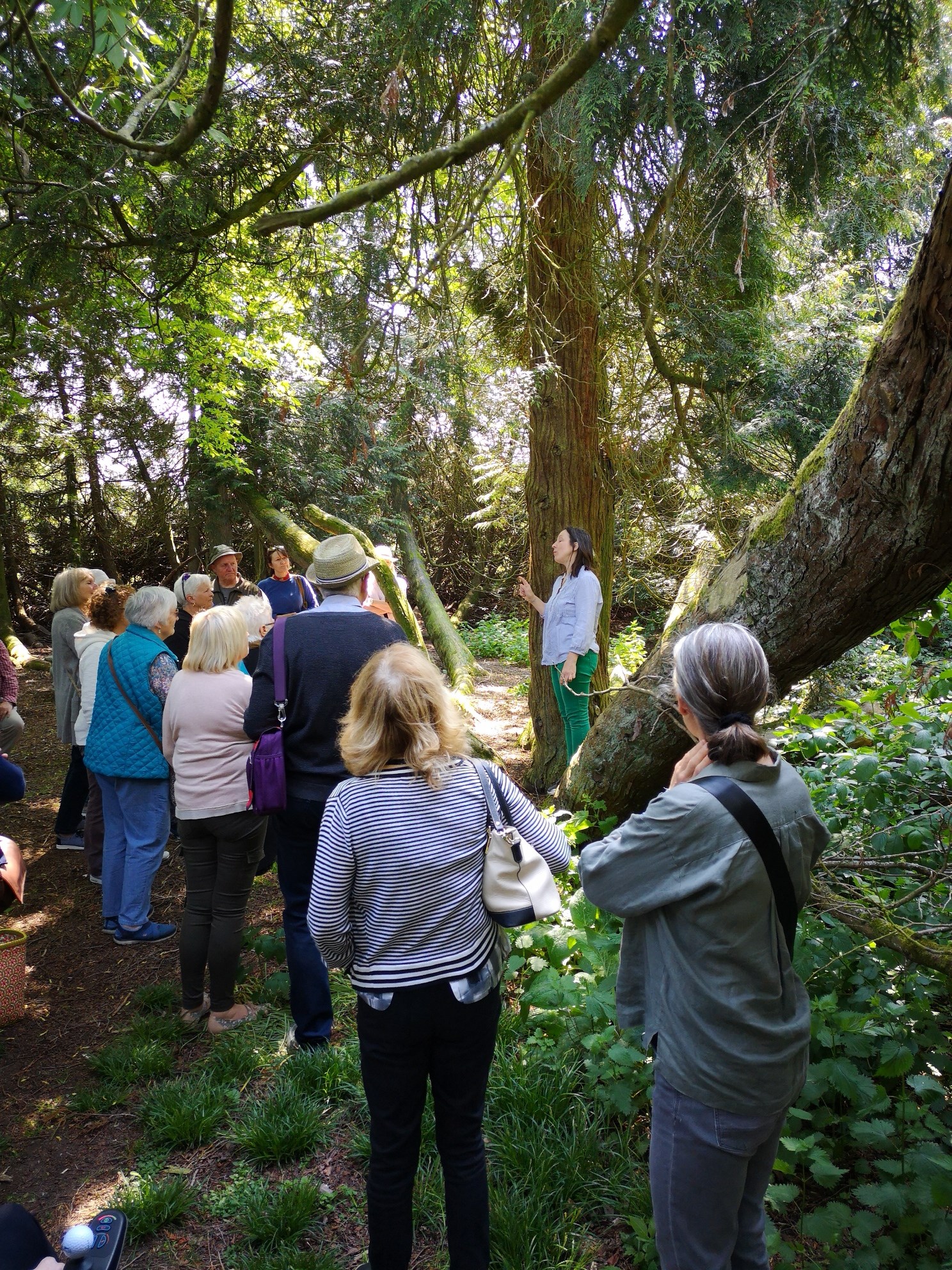 d6998205-5535-4899-871c-fa0321bf5156-Herb Walk.jpg