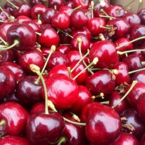 8d42d33e-0e99-4038-8da5-fb55b5ba84bc-cherries yum.jpg
