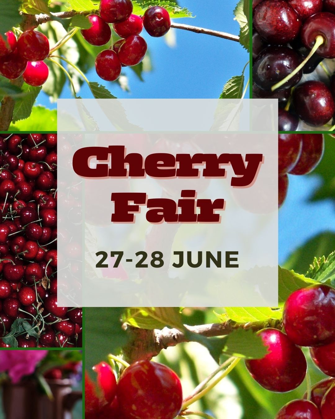 6648bc7b-80cf-49d8-b5d0-068703de50b2-Cherry Fair FB.jpg