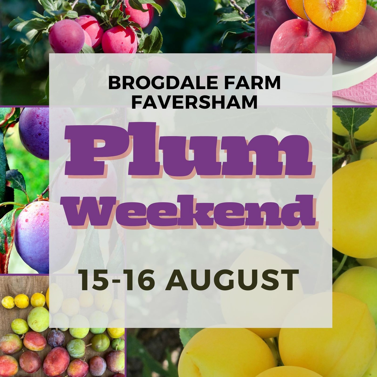 cb78781e-dc3c-420e-a7cc-14d6f080565d-Plum Weekend FB.jpg