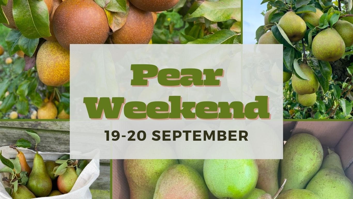 60fc35ea-9112-4437-b3ec-0cc07a5958fc-Pear weekend 2026 website.jpg