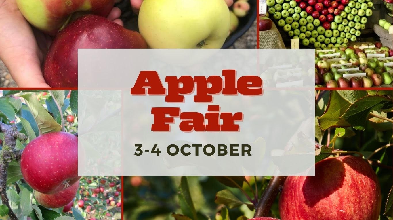 36674326-723a-413e-afdd-94a662deacf1-Apple Fair 2026 Website.jpg