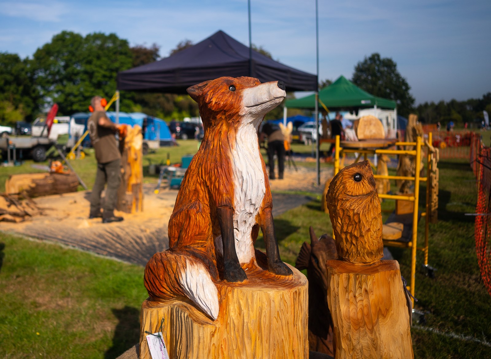 5c091e63-d12e-4069-8b4a-941ca9d9e281-WoodfestLR-10.jpg