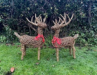 543bab08-f46a-4c2b-9d04-2d0be64f2719-Reindeer 1.jpeg