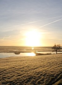 morning-view.jpg