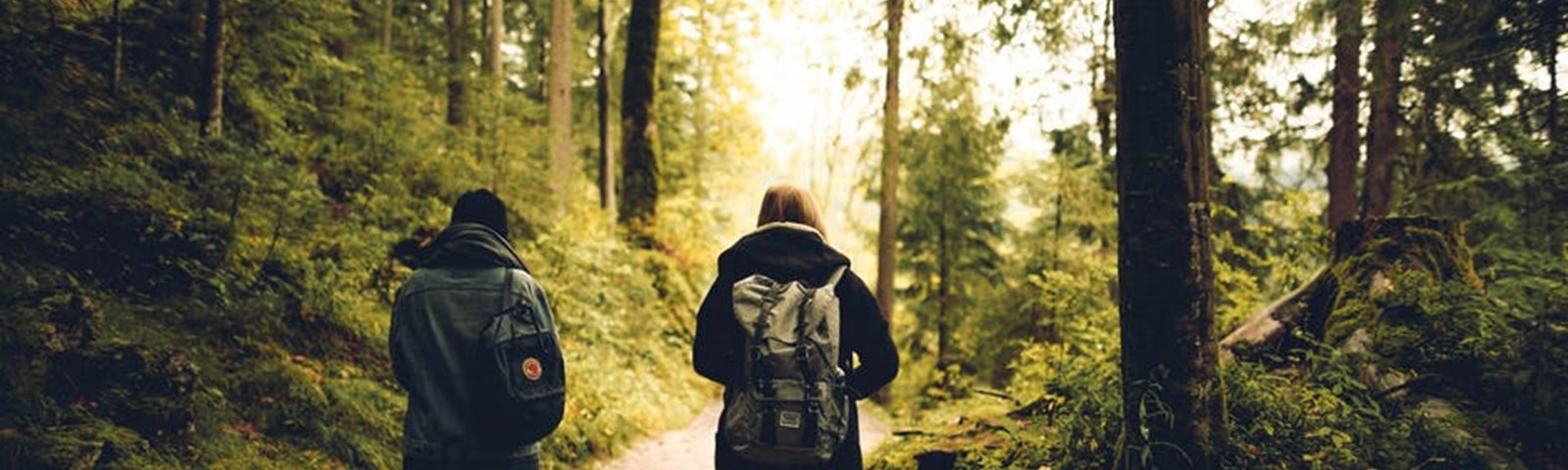 Friends walking through forest