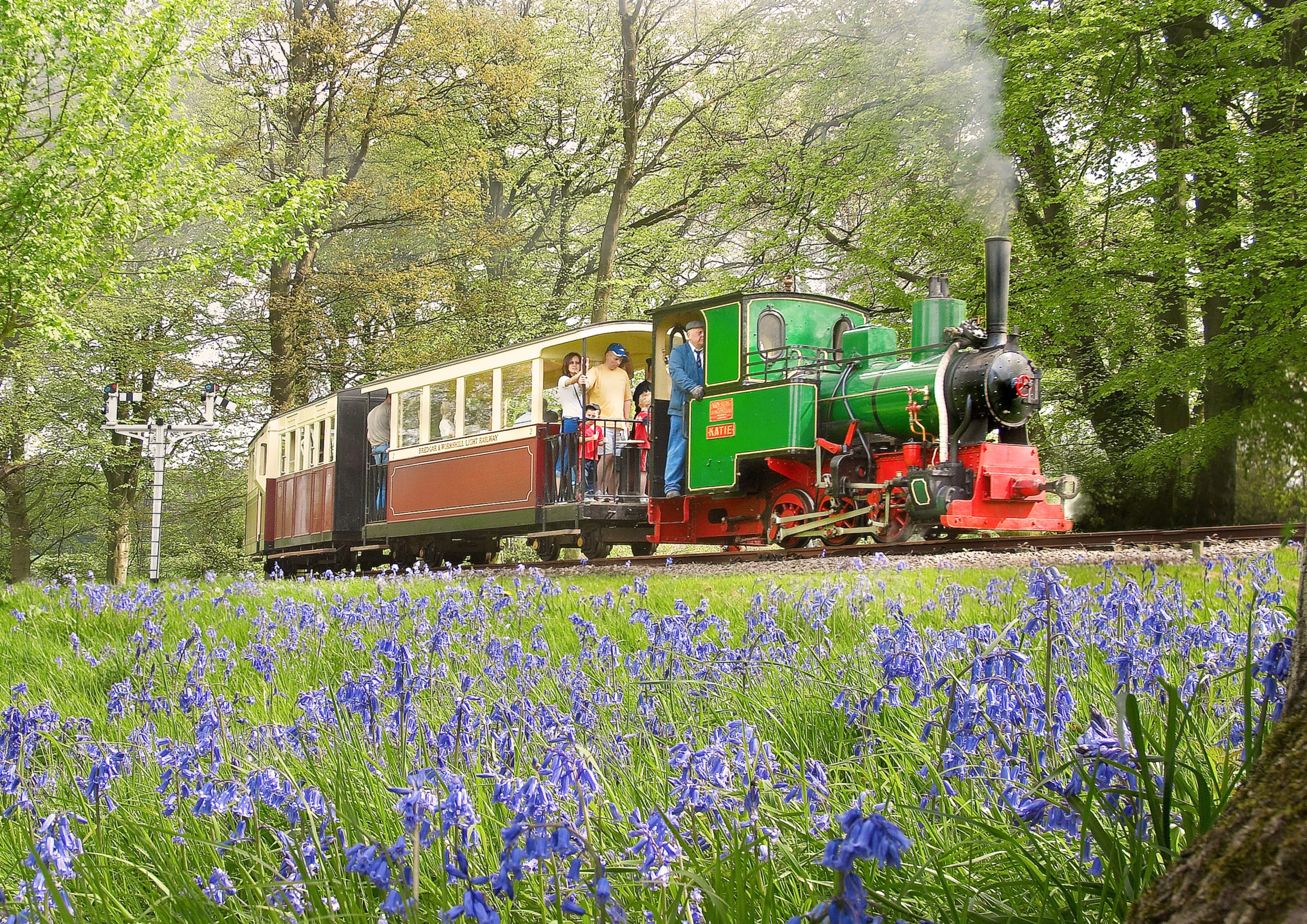 Bredgar and Wormshill Light Railway Blue Bells