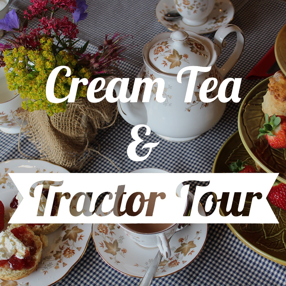 Cream Tea and Tractor Tour at Brogdale Farm