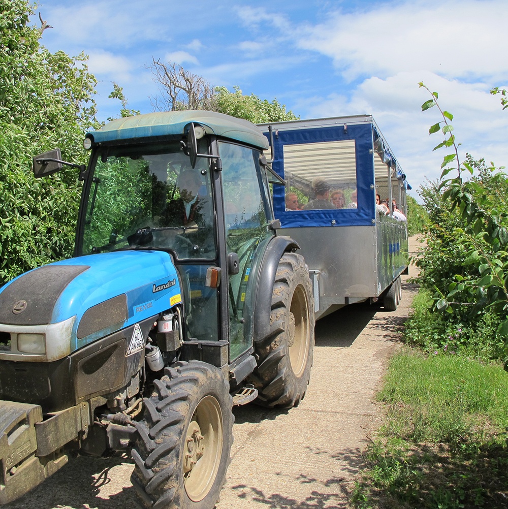 Tractor Tour at Brogdale Farm