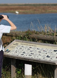 oare-marshes-greg-hitchcock-.jpg