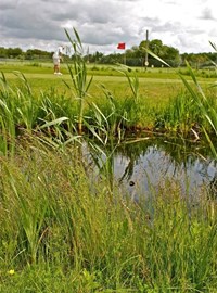 Sittingbourne Golf Centre Playing Golf Portrait.JPG