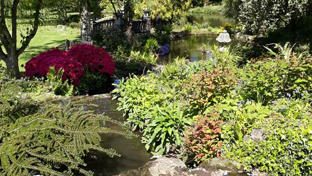 Water Garden Mount Ephraim 2019 MG.jpg