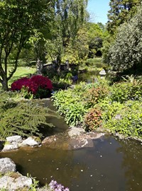 Water Garden Mount Ephraim 2019 MG.jpg
