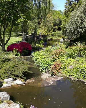 Water Garden Mount Ephraim 2019 MG.jpg