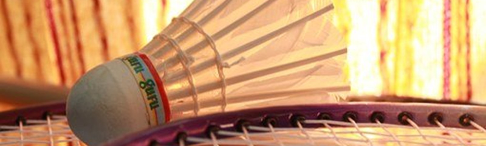 Badminton - 1.jpg