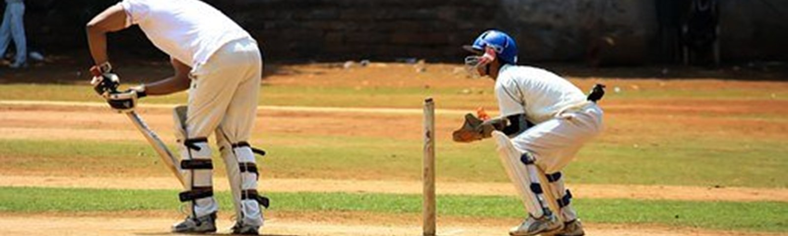 Cricket - 8.jpg