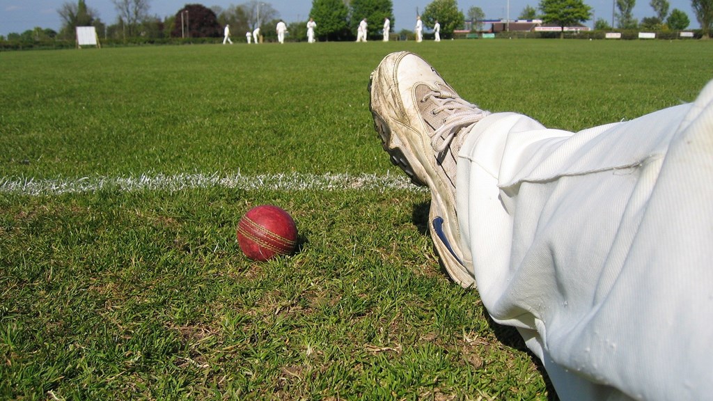 Cricket - 4.jpg