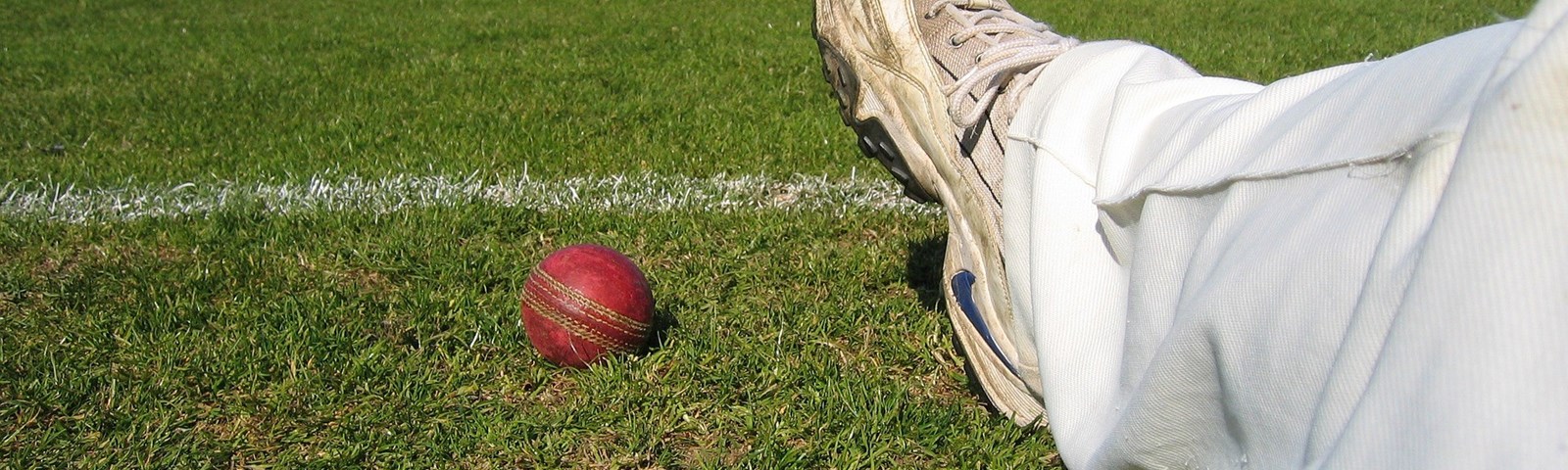 Cricket - 4.jpg