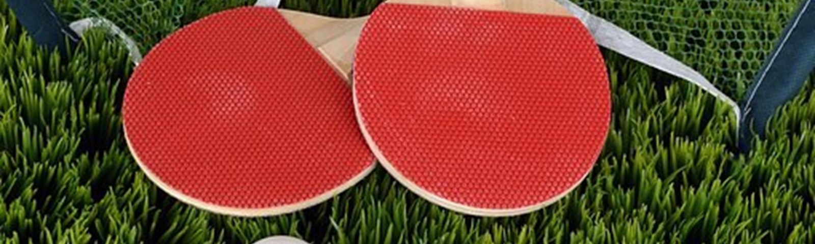 Table Tennis - 6.jpg