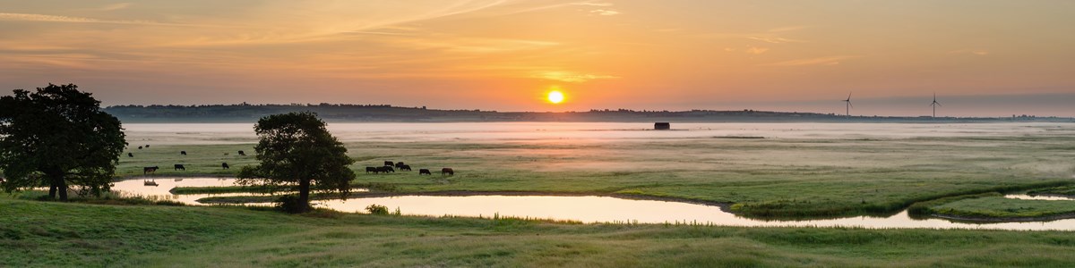 Dawn View From The Huts At Kingshill Farm