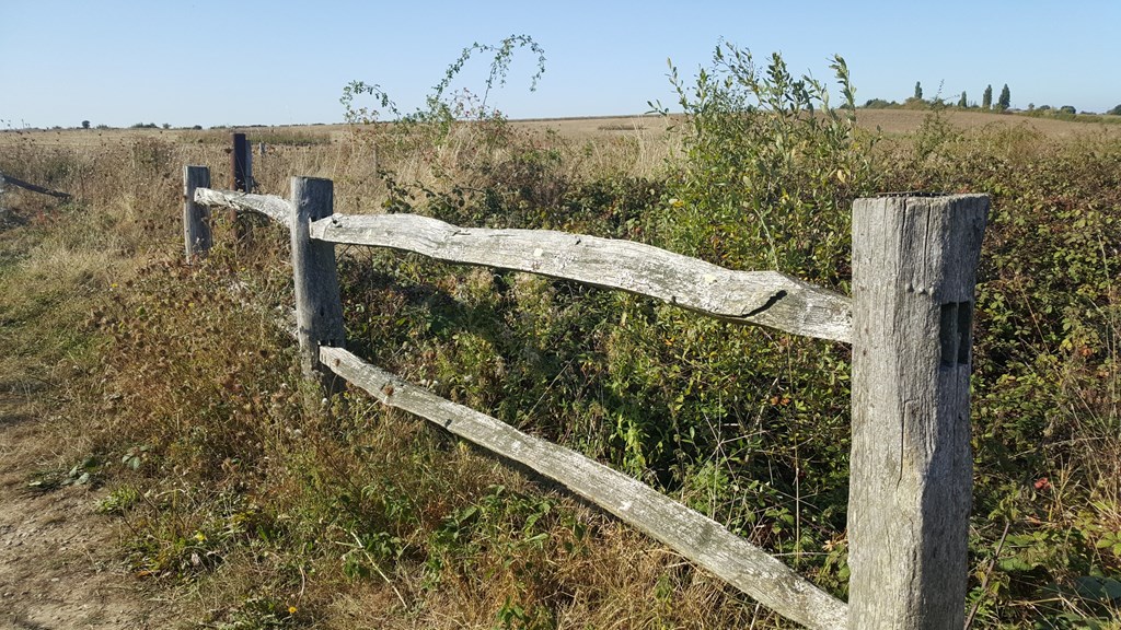 Countryside & Fence