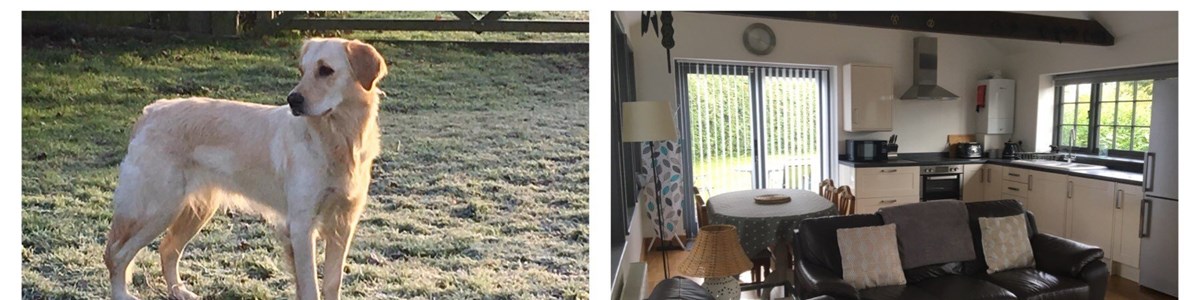 Picture Collage The Forge Dungate